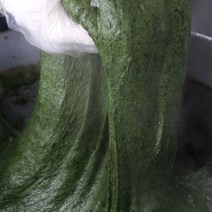 [오전9시이전 주문완료건 당일만들어 당일발송] 은혜떡집 쑥떡 쑥인절미 찹쌀떡 1kg 2kg 3kg, 1박스