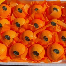 - 추석과일선물세트 - 제주황금향 5kg 선물용(중대과 16-25수) 제철을 맞아 더욱 풍성하고 향긋한 선물세트! 박스무게포함