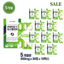 프롬바이오 관절연골엔 보스웰리아 10박스 5개월분, 단품, 단품