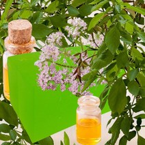 수플레이스 비누베이스(그린) 20kg