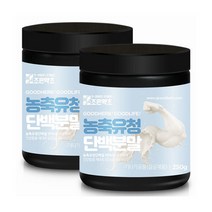 미국산 프로틴 농축 유청단백 분말 가루 250g x 2, 미국산 프로틴 농축 유청단백 분