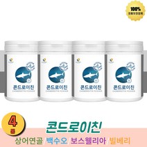콘드로이친 연골 관절 콘도로이친 4통 프락토올리고당 프리 파라바이오틱스 칼슘 백수오 상어연골 유익균 먹이 유산균 유상균 푸른홍합 초록홍합 보스웰리아 아연 빌베리 Chondroitin