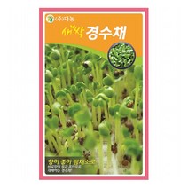 [다농] 새싹경수채(교나)씨앗 30g[OK], 상세 설명 참조