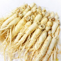 국산 가정용 싱싱한 인삼 세척인삼 원삼11-18편(300g)