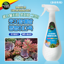 KEYMADO 짱짱이다육 카나마도 발아촉진제 행복한꽃그릇 제4종복합비료 화초용, 1개
