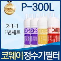 코웨이 P-300L 고품질 정수기 필터 호환 전체세트, 선택2_1년관리세트(2+1+1=4개)