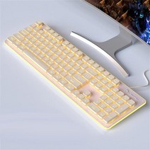 맥용키보드 맥북 호환 RYRA 유선 기계식 키보드 백라이트 키 캡 PBT 104 PC 게이머 안티 고스팅 RGB LED 라이트 Mac Windows 용, [01] 01