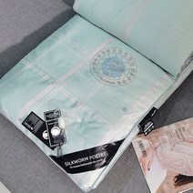 실크이불 공단 새틴 뽕나무 이불 여름 시원한 에어컨 봄 가을 담요 더블 코어 겨울