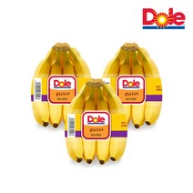 바나나1.3kg 판매 사이트 모음