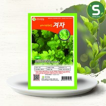 솔림텃밭몰 베이비겨자씨앗 10g 베이비채소 겨자씨앗 베이비겨자, 단품