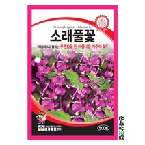 소래풀꽃 500립 / 씨앗 야생화씨앗 소래풀꽃씨앗