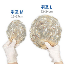 해살이 구운 쥐포 쥐포채 양태채 300g 500g 안주 / 두꺼운 마른 구이, 쥐포(M) 1kg