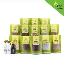 트리맘 가든집사 녹소토 피트모스 훈탄 마사토 질석 난석 휴가토 펄라이트, 6_3.다육이볼(1.5L)-대립