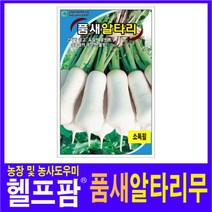 헬프팜 품새알타리 30g 씨앗 종자 그린하트바이오