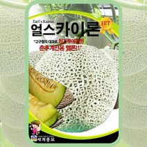 얼스카이론 100립 / 과일 멜론 씨앗 종자 텃밭키우기 채소키우기