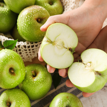 풋풋한 아오리사과, 가정용 아오리사과 8kg 꼬마소과 32-48과내외