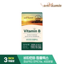 액티비타민 프리미엄 독일 비타민B 컴플렉스 45g, 90정, 1개