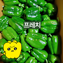 프레치 국내산 아삭 싱싱한 청피망 피망, 상, 1kg