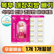 내장 지방 빼는법 복부 뱃살 아랫배 똥배 살빼는 법 복부 피하 상체 하체 살빼기 살빠지는 알약 영양제 건강 기능 식품 40대 50대 60대 다이어트 보조제 가르시아 가르니시아