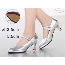 여성 가죽 댄스화 신발 스포츠댄스 라틴 무용 구두, 240, 실버 5.5 cm