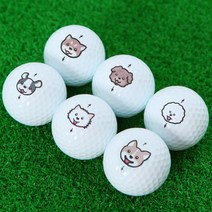 비거리 데일리 골프공 6구세트 무지 캐릭터 연습용, 무지골프공 6구