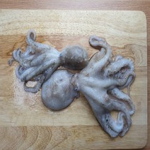 정말 통통한 냉동 통통 알 쭈꾸미 1kg ( 8~10미 내외) 고소함의 끝판왕 신선 배송