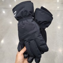 [알파인] 스키 장갑 (대가상회), M