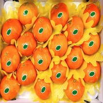 제주 만감류 레드향 선물용 제주도 택배 제철과일 설 명절선물 세트 당도 높은 과일 3kg 5kg 5키로 (부직포가방포함), 레드향 선물용 (댸)5kg