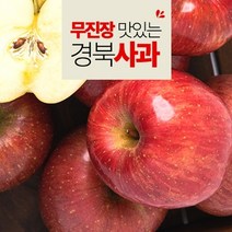 [팜쿡] 무진장 맛있는 경북 부사 중소과 10kg, 단품