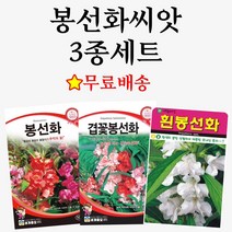 가을꽃씨 관련 상품 TOP 추천 순위