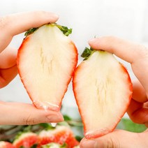 J 킹스베리 딸기 500g 1팩