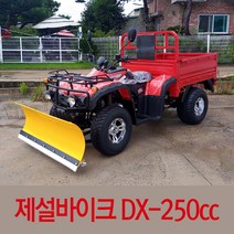 제설바이크 ATV DX-250cc + 눈삽 + 윈치 농업용사륜바이크 화물오토바이 짐운반용화물바이크 사발이 네발오토바이 적재함