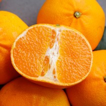 제주 천혜향 2kg 3kg 5kg, 천혜향 소과 5kg, 가정용