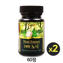 100% 리얼 노니 노니캡슐 노니정 노니정제 노니환 노니추출분말 파극천 야생노니 노니열매 알약타입 타블렛 프로제로닌 폴리페놀 효능 추천 100프로, 600mg, 60정, 2개