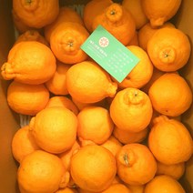 우체국쇼핑 하우스 한라봉 3kg (꼬마) 3개 구매시 10kg 발송