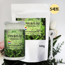 네덜란드 프락토올리고당 분말 신프리바이오틱스 유산균분양 갈락토올리고당 이눌린 850g5세트