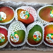 브랜드없음 [넉넉]열대과일의 여왕 프리미엄 애플망고 3kg, 단품없음