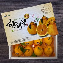 [팜쿡] 제주 서귀포 꿀 한라봉 선물세트 4.5kg 대과(16-19과)