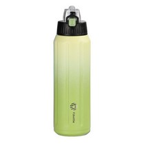 꾸미고 FJbottle 스테인리스 스틸 물병 절연 보온병 플라스크 누출 방지 BPA 프리 학교 스포츠 체육관 사이클링 600ml 21oz No.37191, Amy Green, Amy Green