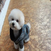 애견 겨울 산책 의상 패션 따뜻한 체크 무스탕 그레이, Need콕 L