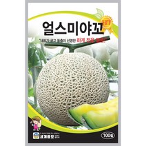 주주씨앗 과채류 씨앗 76종 모음 오이 수박 가지 참외 딸기 수세미 조롱박 호박 방울 토마토 여주 고추 멜론 애플 메론 파프리카 단호박 완숙 땅콩호박 머크아, 46. 얼스미야꼬(하계전용) 100립
