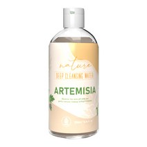 메드비 딥 클렌징 사철쑥 워터 300ml, 1개