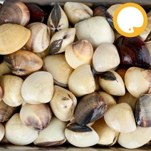 냉동 손질 백합 5kg(1kgX5) 세척 조개구이 탕 파스타, 40/60