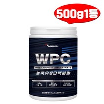 농축유청 단백질 WPC 프로틴 500g1통 보충제 전용스푼포함 유청농축단백분말 대두레시틴, 1개