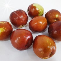 충북보은에서 자란 사과대추 보은생대추 [산지직송으로] 1kg, 사과대추 1kg 41~50과 내외, 1개