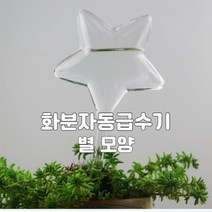 와이재재 화분자동급수기 별모양 200ml, 1개
