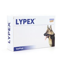 벳플러스 라이펙스 강아지 고양이 배탈 췌장염 효소성분 영양보조제 60캡슐, 단품, 단품