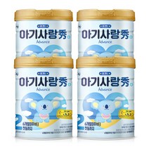 뉴 아기사랑 수 어드밴스 분유 2단계 750g, 4개
