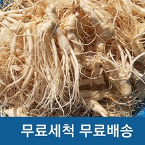 세척인삼 실속형 햇인삼 금산 세척삼 수삼(200g)난발파삼, 세척200g