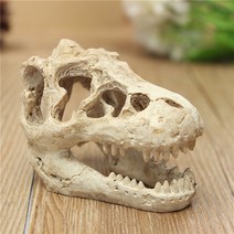 공룡 화석 모형 수족관 어항 장식 데코 꾸미기 물고기 은신처 쉼터 산란처